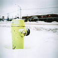 Yellow Hydrant